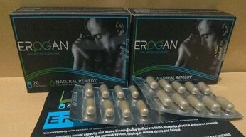 Erogan使用反馈的经验